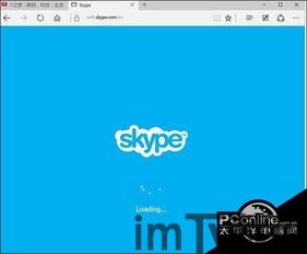 支持skype的浏览器,支持Skype的浏览器，畅享无缝沟通体验(图2)