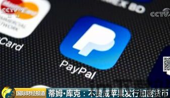 中国加密货币yuanpay,创新与监管的交汇点(图4)