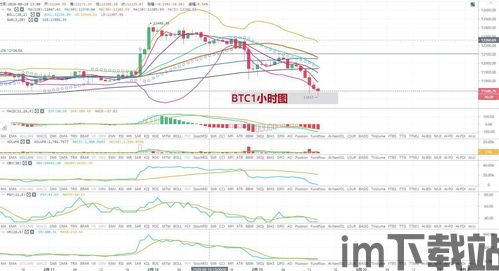 比特币下行趋势图解析,市场动态与策略分析(图6)