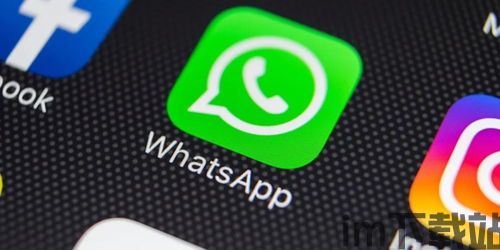 正宗的whatsapp,全球最受欢迎的即时通讯应用(图1)