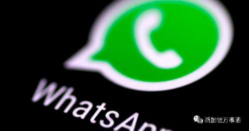 正宗的whatsapp,全球最受欢迎的即时通讯应用(图6)