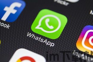 正宗的whatsapp,全球最受欢迎的即时通讯应用(图7)