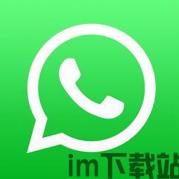 正宗的whatsapp,全球最受欢迎的即时通讯应用(图20)