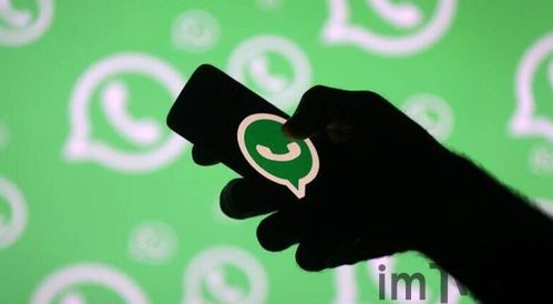 质量可靠的whatsapp群发,高效拓客的秘密武器(图1)