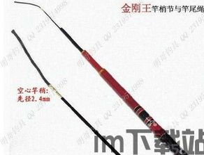 骨质鱼竿(图2) 骨质鱼竿(图2)