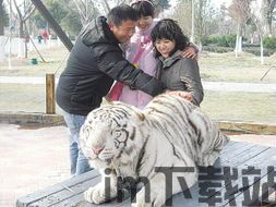 泡泡大作战游戏手机游戏 (图2) 泡泡大作战游戏手机游戏 (图2)