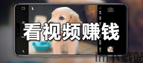 看视频赚钱(图1)