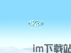 桌面版skype通讯录,揭秘桌面版联系人概览(图3)