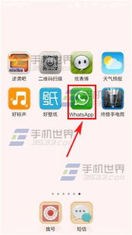 找寻WHATSAPP,体验便捷互动新方式(图3)