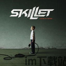 skillet(图2)