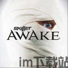 skillet(图3)