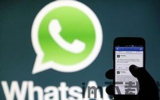 中国如何申请whatsapp,中国用户如何合法申请使用WhatsApp(图3)