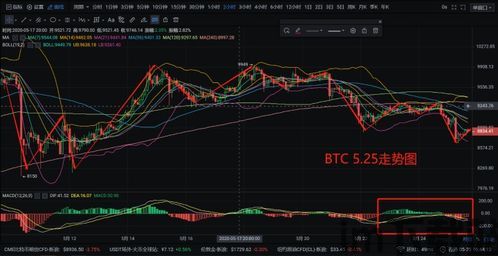 比特币行情一年情况分析,2023年市场波动与未来展望(图1)