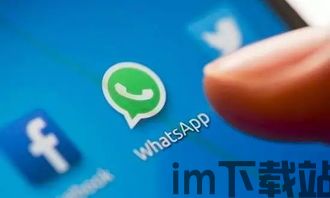 最近whatsapp还能用吗,探讨其在当前环境下的可用性及挑战(图3)