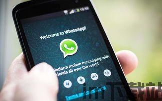 智利有使用whatsapp吗,社交沟通首选平台揭秘(图3)