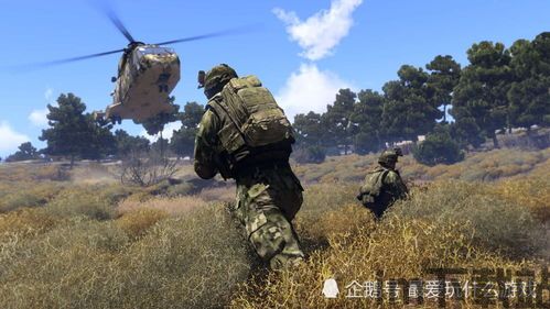 武装突袭3能操作但没有画面,无画面操作下的战术蓝图绘制(图3) 武装突袭3能操作但没有画面,无画面操作下的战术蓝图绘制(图3)