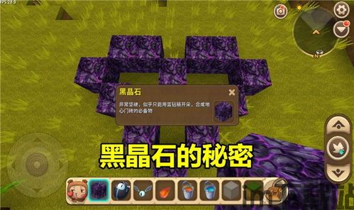 和你一起探索这个全新的世界。玩家们不仅要学会收付游戏中的小怪物让它们变成自己,共闯奇幻冒险之旅(图3)
