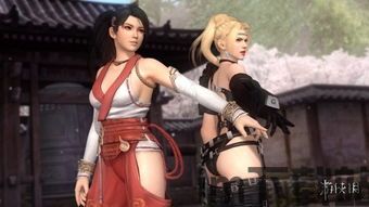im fighter 死或生5,生死对决(图1)