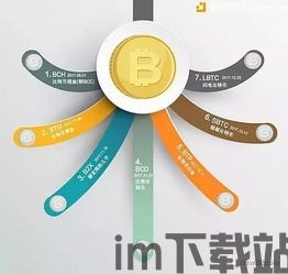 比特币分叉币btp币,技术革新与未来展望(图1) 比特币分叉币btp币,技术革新与未来展望(图1)