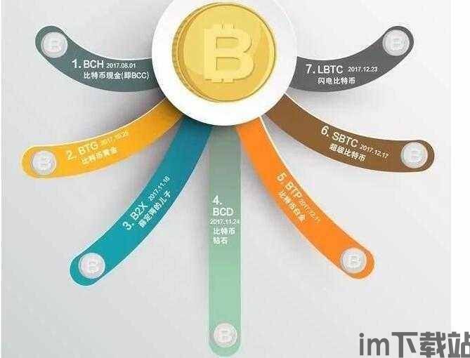 比特币分叉币btp币,技术革新与未来展望(图3) 比特币分叉币btp币,技术革新与未来展望(图3)