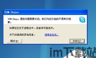 skype购买点数无法打开网页,无法打开网页的解决方案解析(图3)