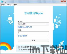 skype便携版,随时随地畅享沟通新体验(图3)