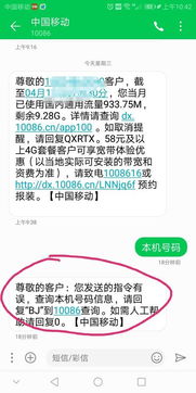 skype发信息到移动号码,Skype短信功能助力轻松联系移动号码(图2)