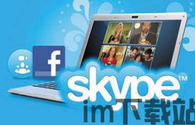 skype存盘金,解锁沟通新境界(图3)