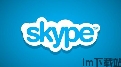 skype不可以发文字,沟通新挑战(图3)