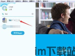 skype别人怎么添加我为好友吗,了解他人如何将您添加为联系人(图1)