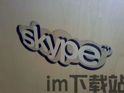 skype国外论坛,揭秘最新功能与用户体验分享(图2)