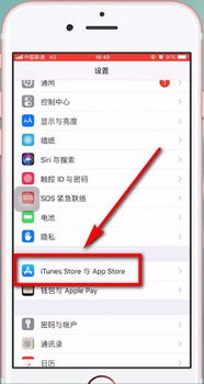 skype手机版苹果怎么充值记录,轻松掌握消费详情(图1)