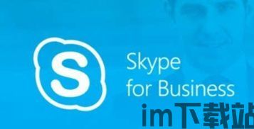 skype办公用的多吗,企业国际协作的必备利器(图1)