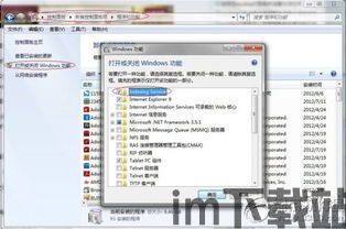 skype不能在win7使用方法,Win7系统下Skype无法使用解决方案解析(图2)