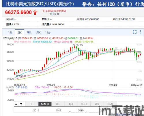 比特币指数基金有哪些,比特币指数基金市场动态与投资分析(图3)