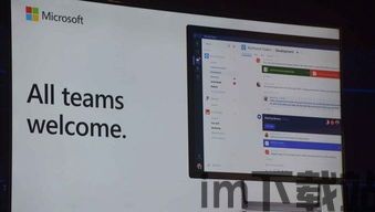 skype的teams功能是什么,团队协作新体验(图2)