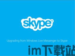 skype担保,揭秘即时通讯巨头的安全保障与信任基石(图1)