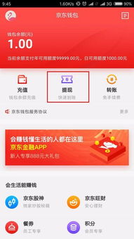 skype的钱能转出吗,揭秘转账与提现途径(图3)