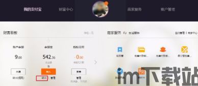 skype的钱能转出吗,揭秘转账与提现途径(图2)