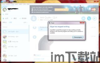skype故障大全,常见问题与解决方案全解析(图3)