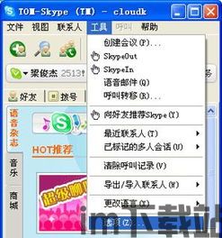 skype测试没声音,Skype通话测试通却无声音？排查与解决指南(图2)