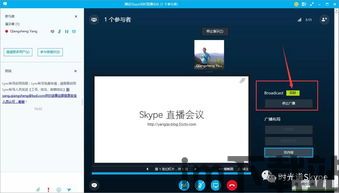 skype会议电话mute提示音,轻松识别会议状态(图2)