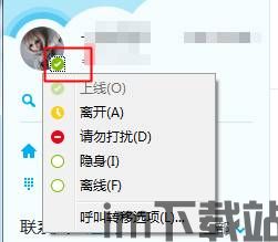 skype的几种状态,一网打尽沟通状态奥秘(图3)