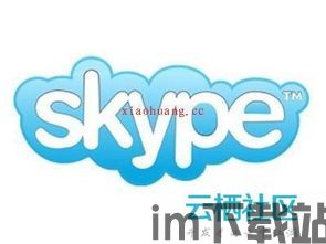 skype比qq好用吗,语音通讯的优劣对比解析(图3)