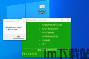 skype电话辅助激活工具 远景,远景展望与实际应用(图2)