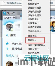 skype号怎么修改,如何通过Skype号轻松修改生成个性化概述文章副标题(图2)