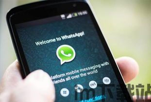 智利国家用whatsapp吗,即时通讯应用成为社交首选(图3)