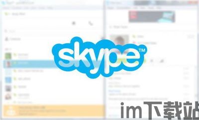 Skype功能包括,全方位功能解析(图2)