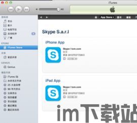 skype苹果安装包下载地址,开启全球免费通话新时代(图2)