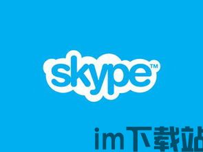 skype不能翻释,沟通障碍下的全球挑战(图3)